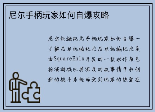 尼尔手柄玩家如何自爆攻略
