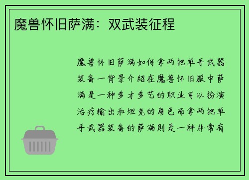 魔兽怀旧萨满：双武装征程